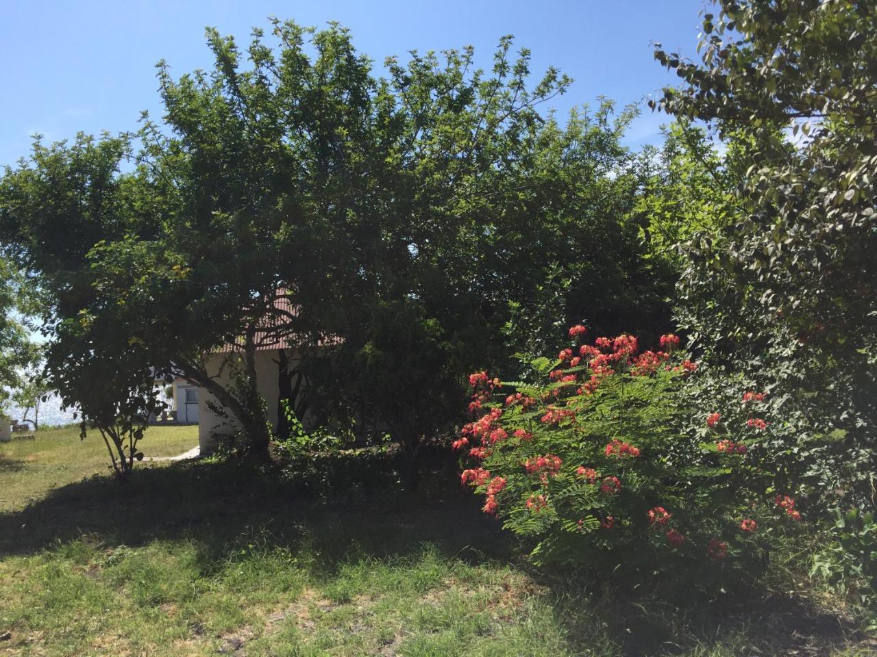 Angauel Inn Cerro Playa Rosada Palmar 외부 사진