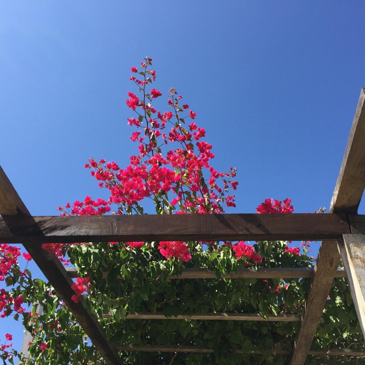 Angauel Inn Cerro Playa Rosada Palmar 외부 사진